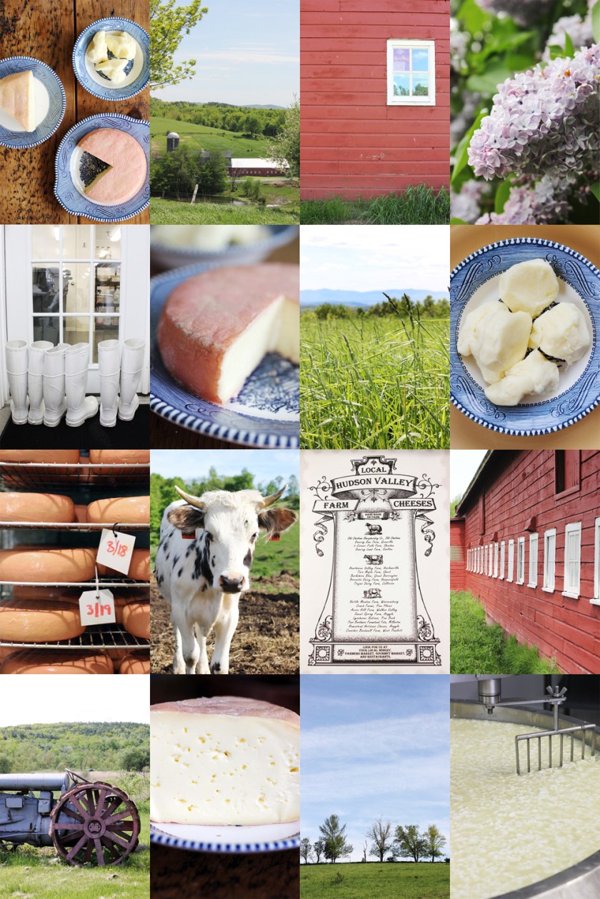 The Creamery at Twin Maple Farm